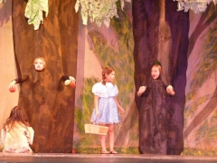 dorothy-and-apple-trees-theater-camp